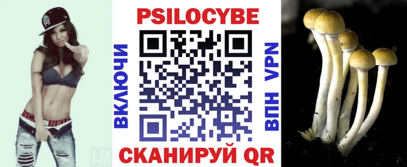 kraken как зайти  Звенигово  Галлюциногенные грибы Cubensis 